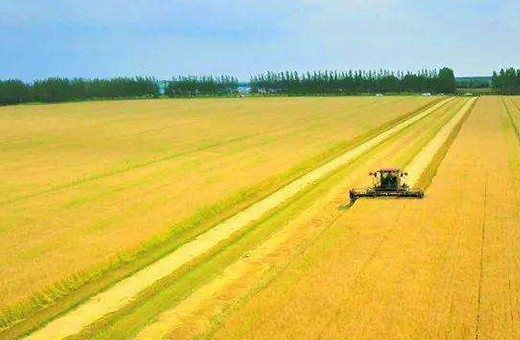 蒙東甕?，F(xiàn)代農(nóng)業(yè)服務(wù)